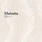 【シンコー】Melodia(メロディア)