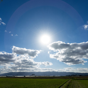 羽毛布団は陰干しではなく日干し！